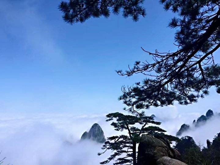 《黄山之旅》这真的只是抛砖引玉,更美的在后面